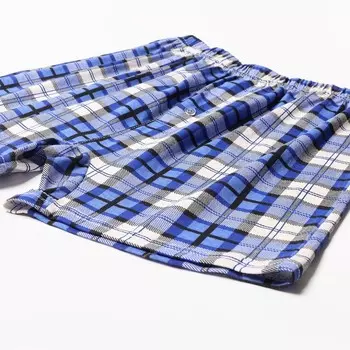 Трусы мужские свободные с пуговицей, цвет сине-белый/клетка, размер 54