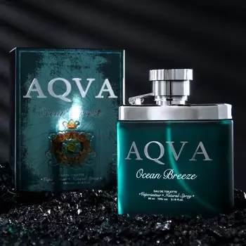 Туалетая вода мужская AQVA Ocean Breeze, 95 мл