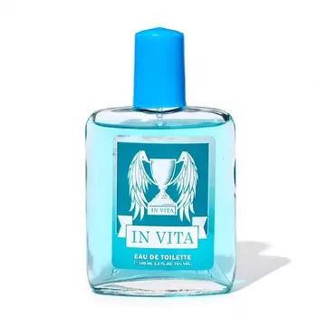 Туалетная вода для мужчин In vita, по мотивам Invictus, Paco Rabanne, 100 мл