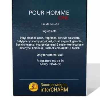 Туалетная вода для мужчин One pour homme, по мотивам One, D&G, 100 мл