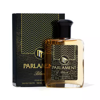 Туалетная вода для мужчин Parlament black, 100 мл