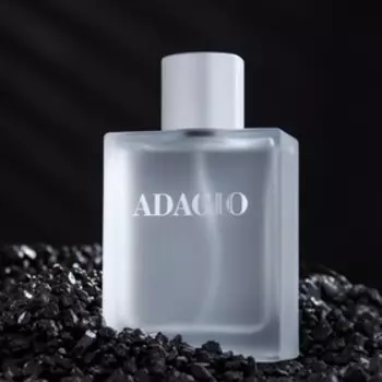 Туалетная вода мужская Adagio, 100 мл