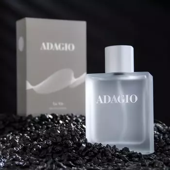 Туалетная вода мужская Adagio, 100 мл