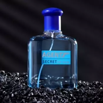 Парфюмерная вода мужская Agent Secret, 100 мл (по мотивам Blue Label (Givenchy)