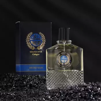 Туалетная вода мужская Brand Noir, 100 мл