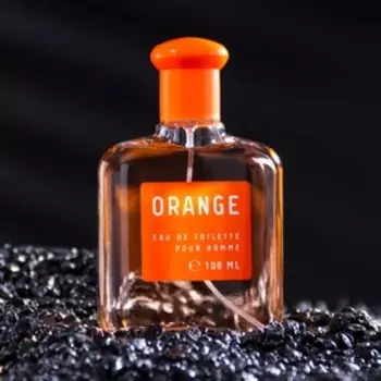 Туалетная вода мужская Colour ssncs Orang, 100 мл (по мотивам Blue Label (Givenchy)