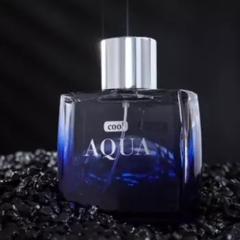 Туалетная вода мужская Cool Aqua, 100 мл