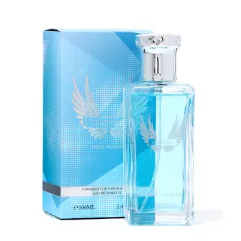 Туалетная вода мужская Courageous, 100 мл