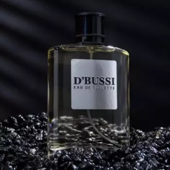 Туалетная вода мужская D"BUSSI, 100 мл