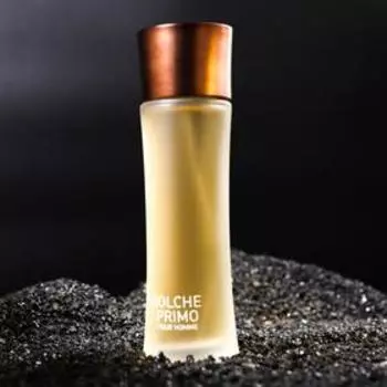 Туалетная вода мужская DOLCHE PRIMO, 100 мл
