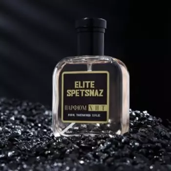 Туалетная вода мужская ELITE SPETSNAZ, 100 мл