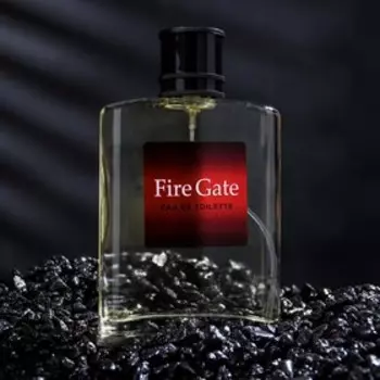 Туалетная вода мужская FAIR GATE, 100 мл