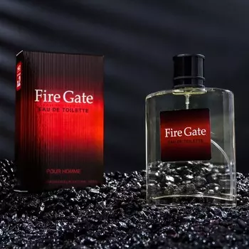 Туалетная вода мужская FAIR GATE, 100 мл