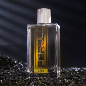 Туалетная вода мужская Ferrum "Gold', 100 мл