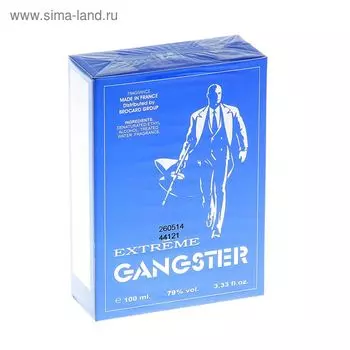 Туалетная вода мужская Gangster Extreme, 100 мл