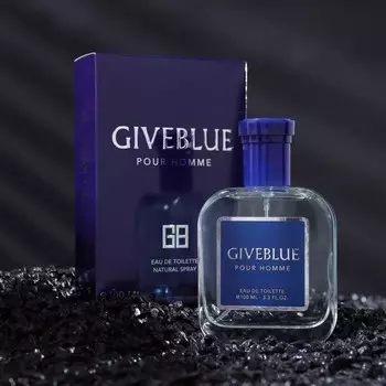 Туалетная вода мужская GIVEBLUE, 100 мл