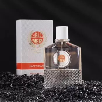 Туалетная вода мужская Happy Brand, 100 мл