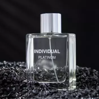 Туалетная вода мужская Individual platinum, 100 мл