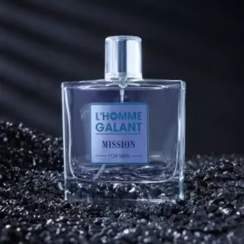 Туалетная вода мужская L'Homme Galant "Mission", 100 мл