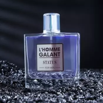 Туалетная вода мужская L'Homme Galant "Status", 100 мл
