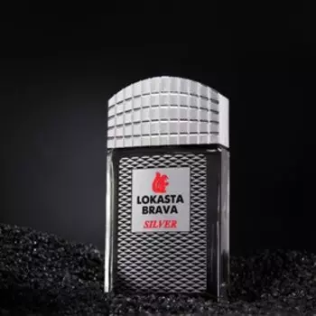 Туалетная вода мужская LOKASTA BRAVA SILVER, 100 мл
