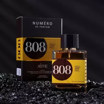 Туалетная вода мужская Numero de Parfum 808, 100 мл