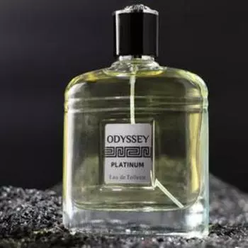 Туалетная вода мужская Odyssey Platinum, 100 мл