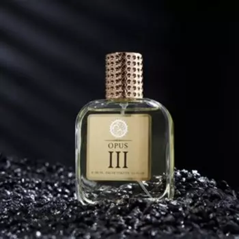 Туалетная вода мужская OPUS, 100 мл
