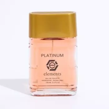 Туалетная вода мужская Platinum Elements, 100 мл (по мотивам Sauvage (C.Dior)