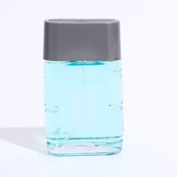 Туалетная вода мужская Platinum Water, 100 мл (по мотивам Blue Label (Givenchy)