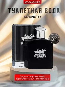 Туалетная вода мужская Scenery, 100 мл