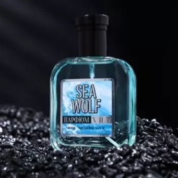 Туалетная вода мужская SEA WOLF, 100 мл