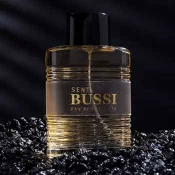 Туалетная вода мужская Sent BUSSI, 100 мл