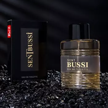 Туалетная вода мужская Sent BUSSI, 100 мл