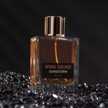 Туалетная вода мужская "Звук Ветра", "Песчаная буря", 100 мл