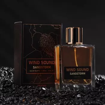 Туалетная вода мужская "Звук Ветра", "Песчаная буря", 100 мл