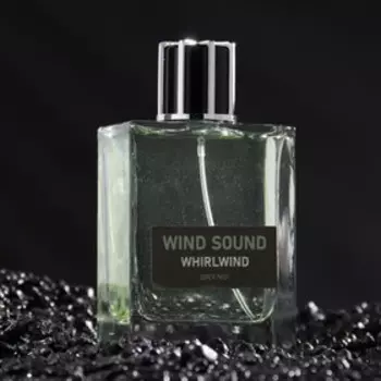 Туалетная вода мужская "Звук Ветра", "Смерч", 100 мл