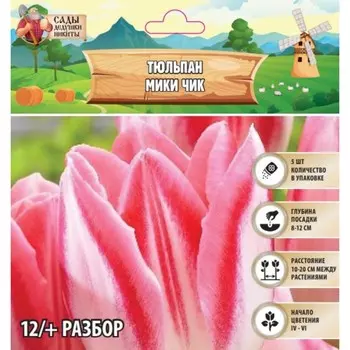 Тюльпан Мики Чик, р-р 12/+, 5шт, Весна 2025