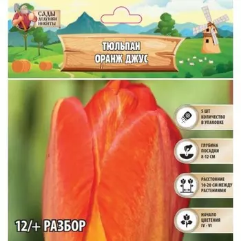 Тюльпан Оранж Джус, р-р 12/+, 5шт, Весна 2025