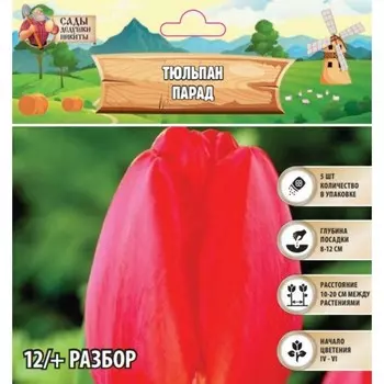 Тюльпан Парад, р-р 12/+, 5шт, Весна 2025