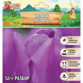 Тюльпан Пепл Флаг, р-р 12/+, 5шт, Весна 2025