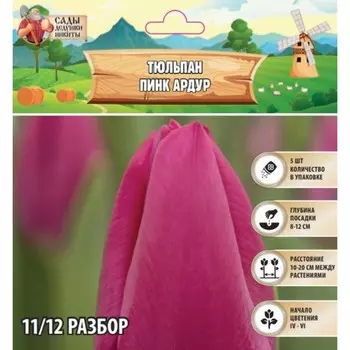Тюльпан Пинк Ардур, р-р 11/12, 5шт, Весна 2025