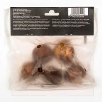 Тюльпан Триумф Дельта Рэд, р-р 11/12, 5 шт, Весна 2025