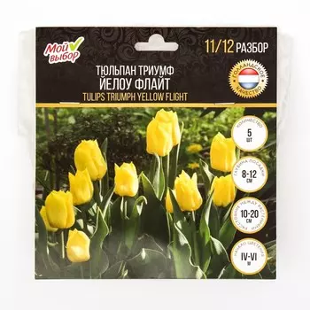 Тюльпан Триумф Йелоу Флайт, р-р 11/12, 5 шт, Весна 2025