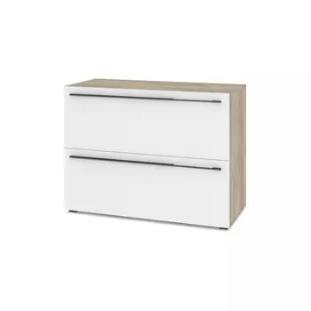 Тумба Стоун 2-х сторчатая, 1100х460х820 Серый дуб /белый