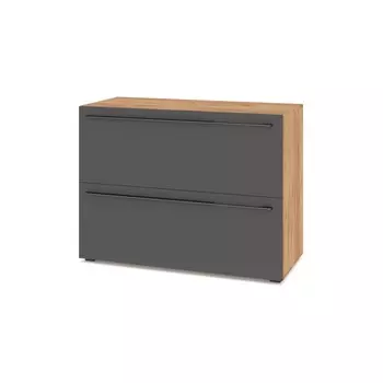 Тумба Стоун 2-х сторчатая, 1100х460х820 Золотой дуб/графит