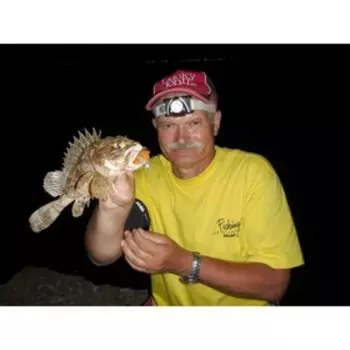 Твистер LJ pro series rock craw съедобный 5,1 см 036 (набор 10 шт)