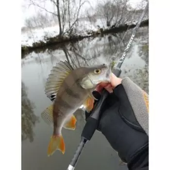 Твистеры съедоб. искусст. LJ Pro Series NAYADA 3.0in (07.62)/S21 7шт.