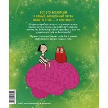 Твой мозг. Книга-экскурсия. Первое знакомство. Бетина Ип