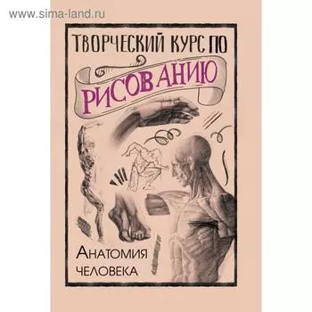 Творческий курс по рисованию. Анатомия человека. Грей М.